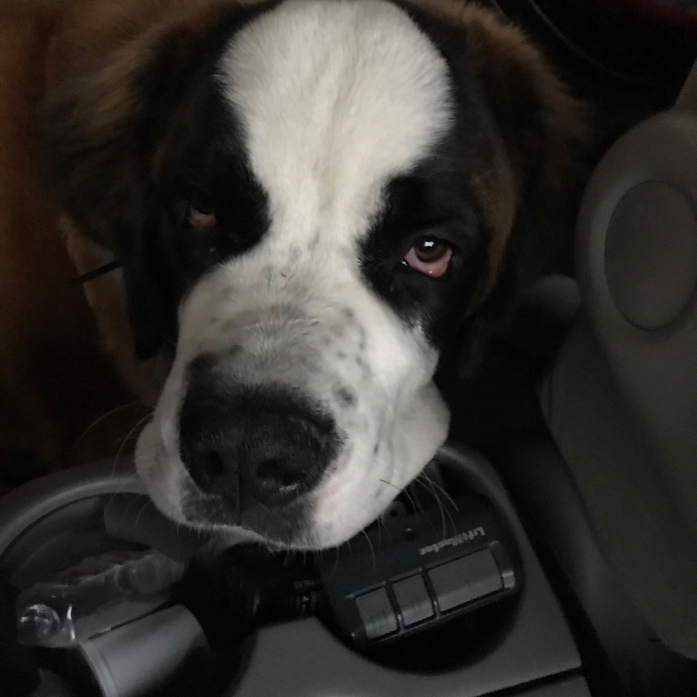 Meet your Posher, Sharon